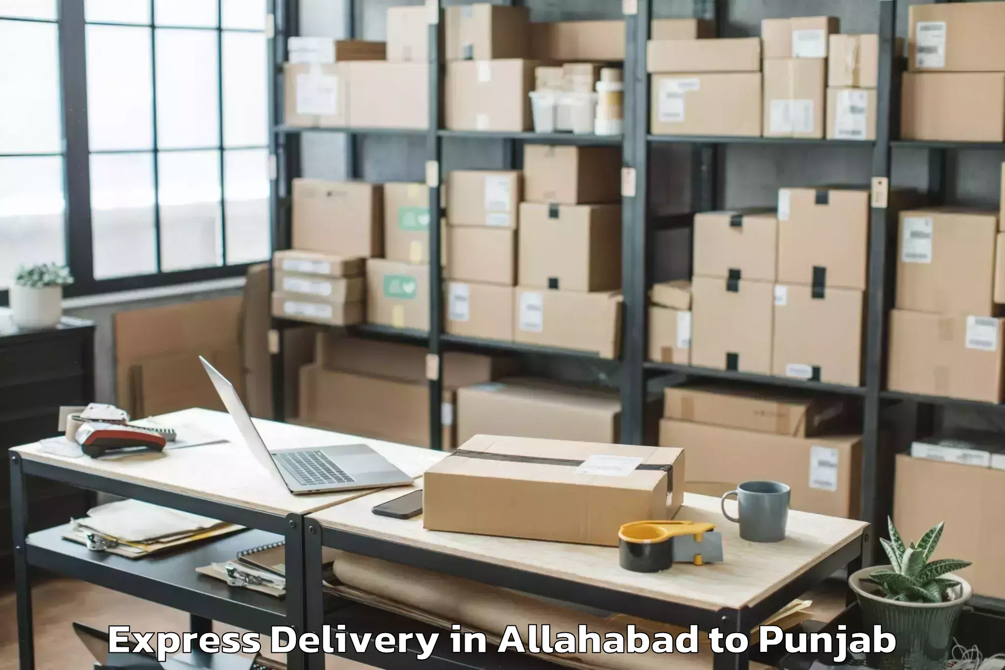 Professional Allahabad to Mall Of Amritsar Alpha One Express Delivery